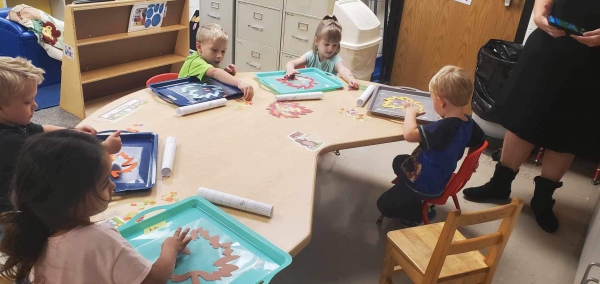 Photo for Creative Curriculum Tree Study at Wetzel