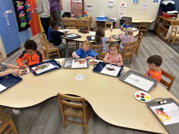 Photo for Curriculum Tree Study