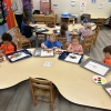 Photo for Curriculum Tree Study